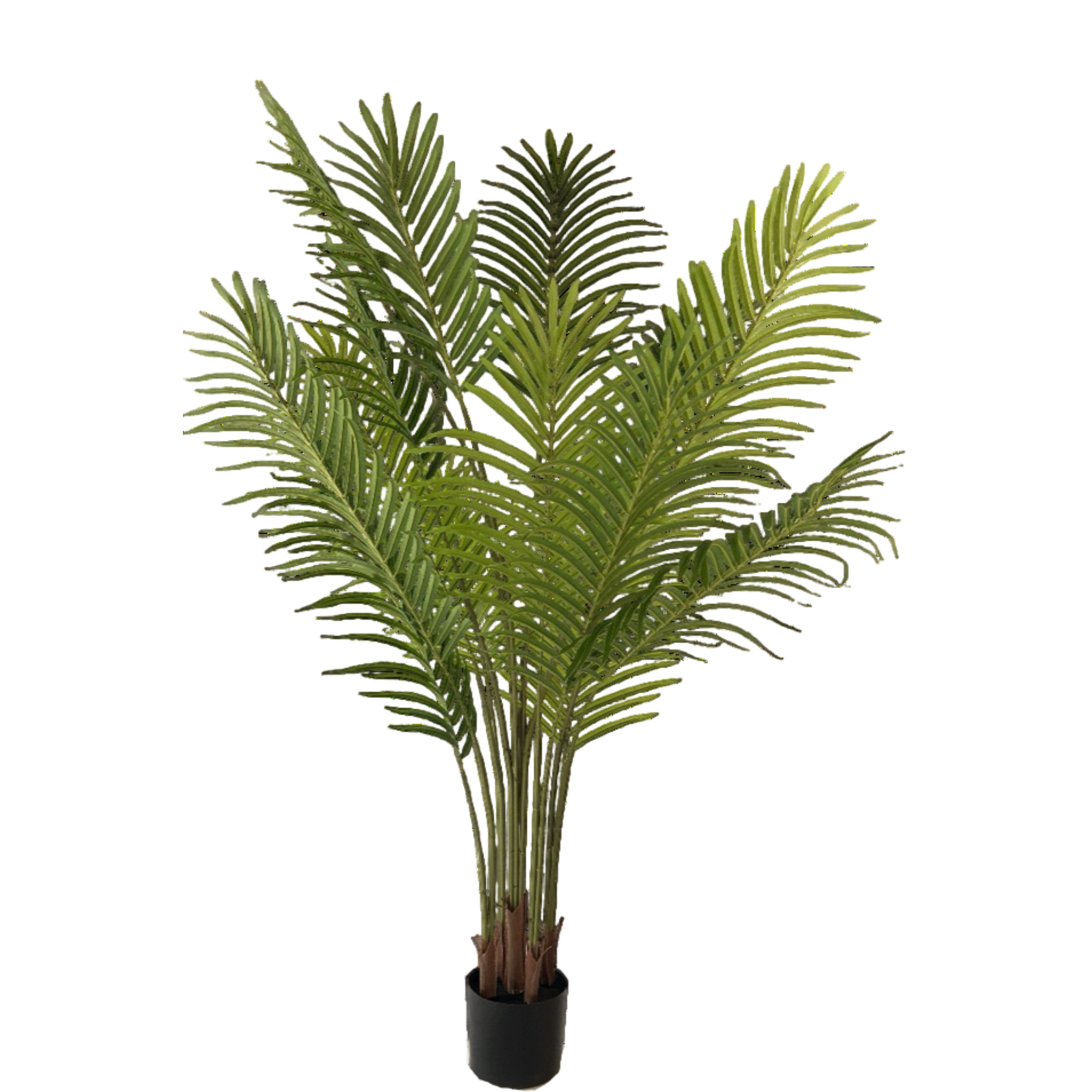 NeverLeafs Kunstpalm Phoenix - 160 cm